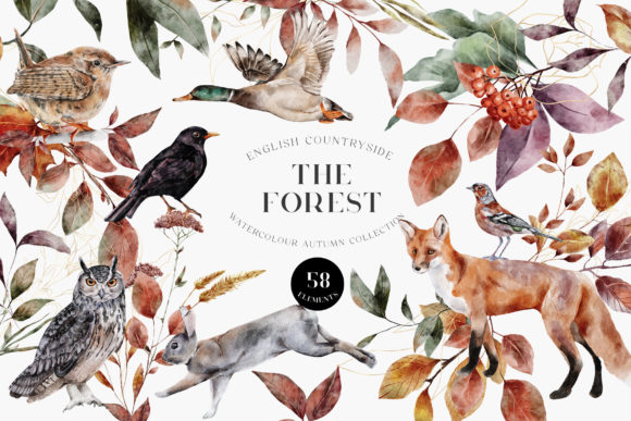 Autumn Forest Animals Watercolor PNG: A Designer's Guide