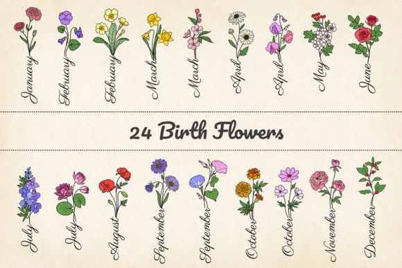 Elegant Botanical Design: The 24 Minimalist Birth Month Flowers SVG Collection