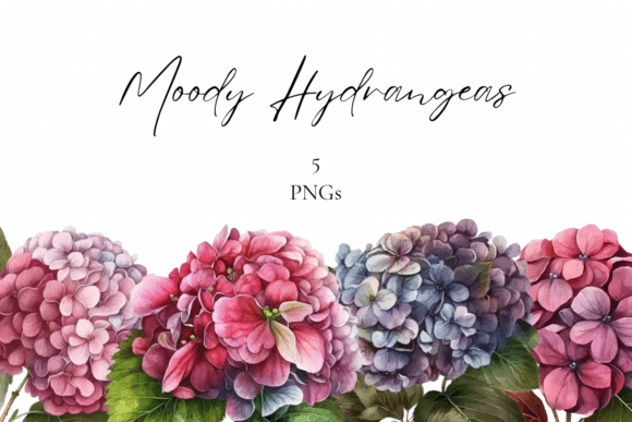 Elevate Designs with Moody Hydrangeas Clipart