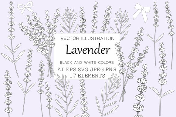 Elevate Your Designs with Lavender Graphics