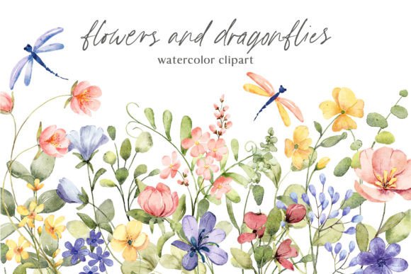 Flowers and Dragonflies: A Watercolor Design Collection