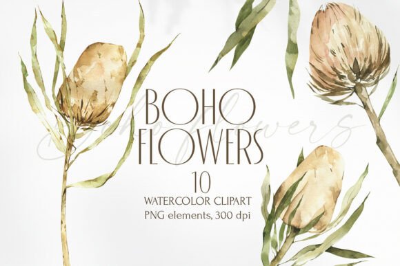 Watercolor Banksia Floral Clipart: Elevate Your Boho Designs